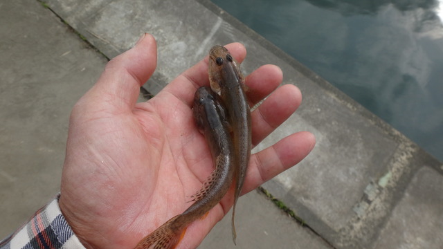DSC04004
