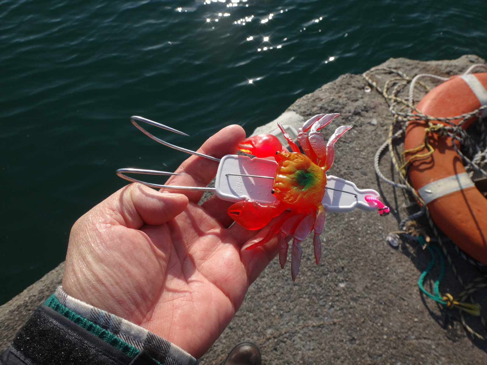 太東港タコ釣りデビュー 来年の為に いいたいほうだい