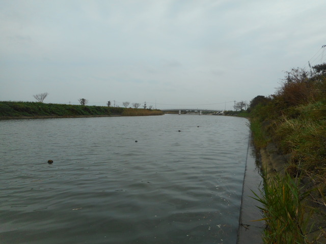 DSCN4611