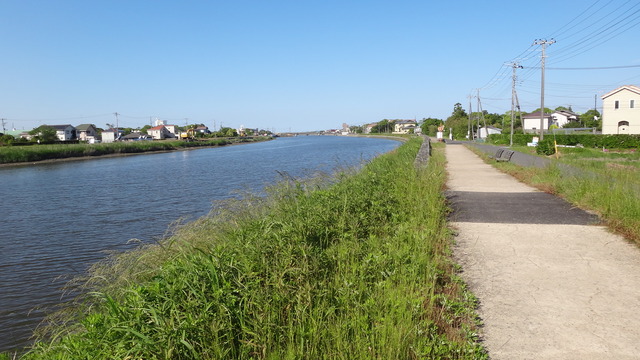 DSC03045