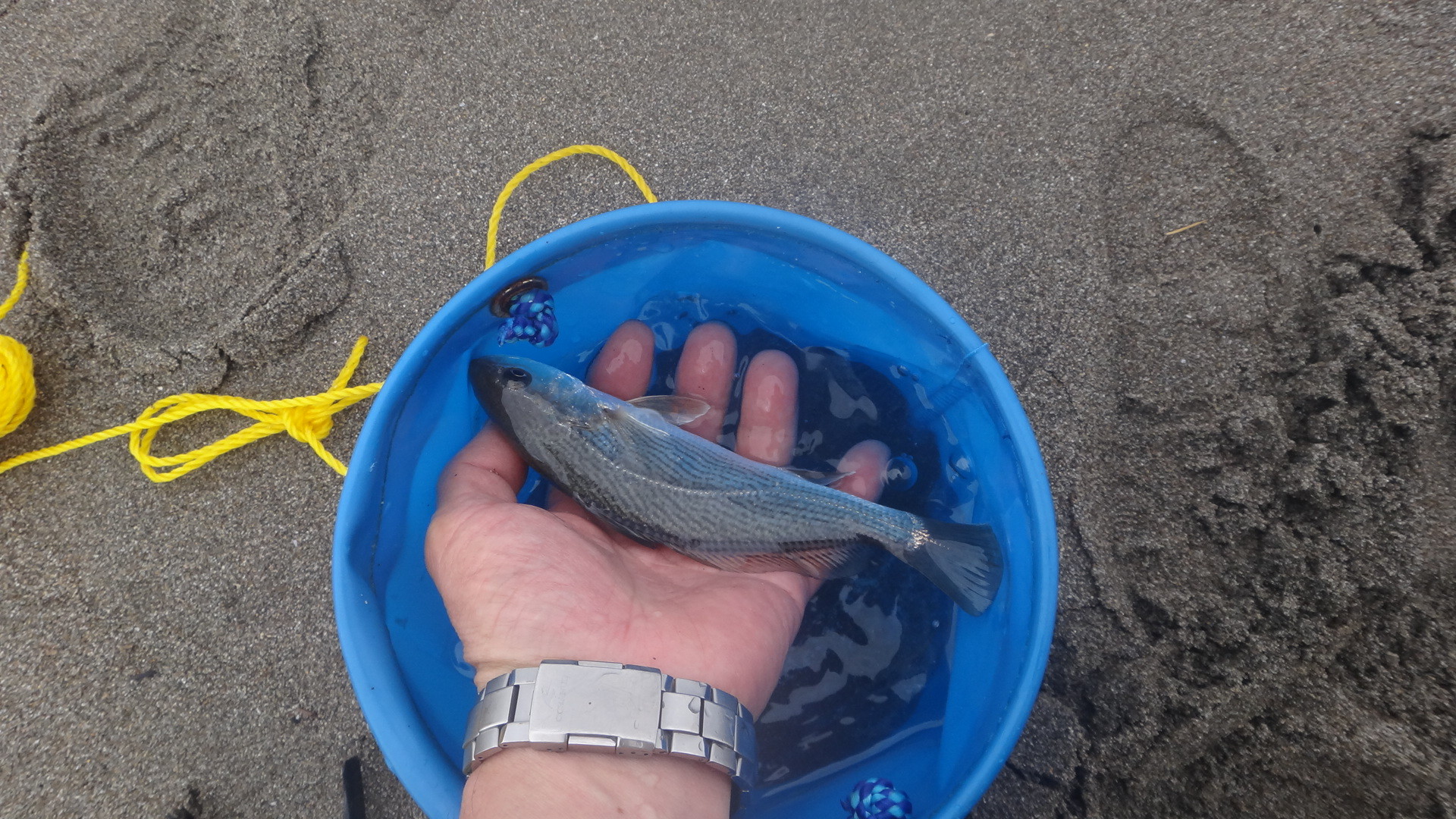 イシモチ釣り 3回目 場所取りが大変 いいたいほうだい イシモチ釣り 3回目 場所取りが大変 いいたいほうだい