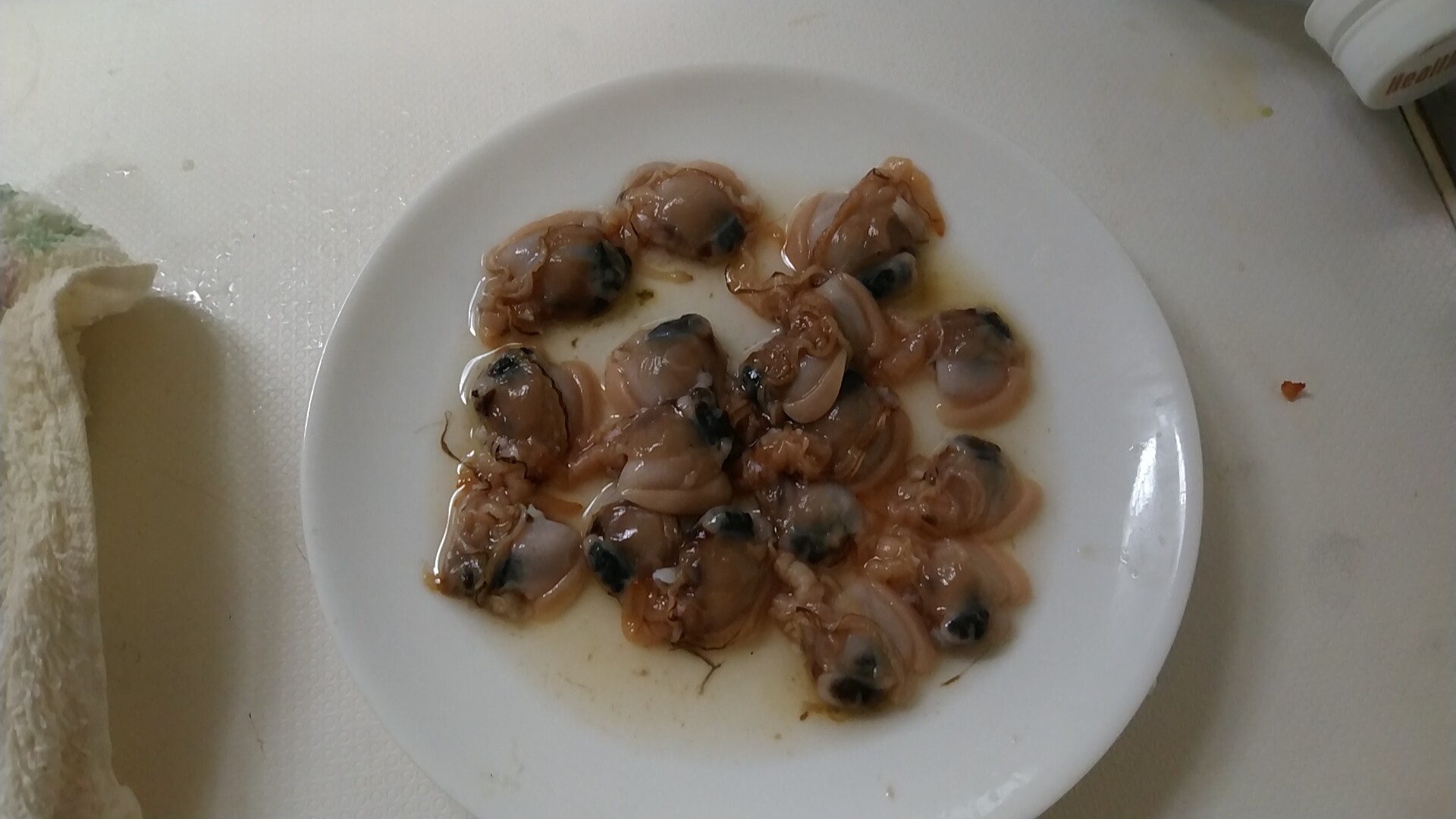 19年74回目の釣り 19 6 24 ウナギ26回目 鮒鯉川 冷凍アケミ貝実釣証実験 いいたいほうだい