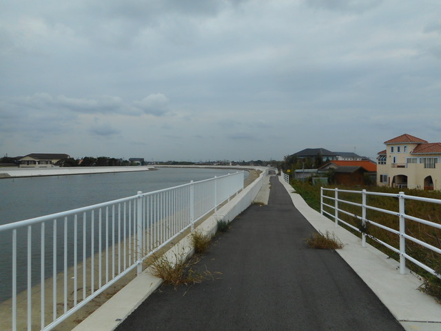 DSCN4608