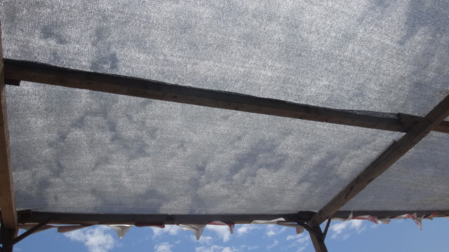 DSC06325