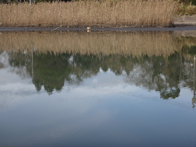 DSC09402