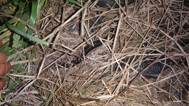 DSC04062