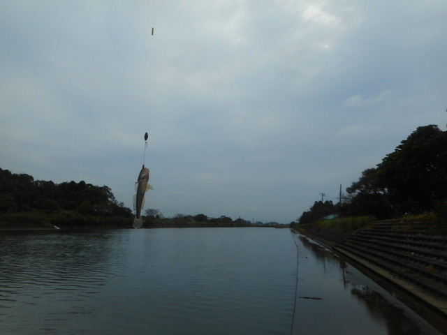 DSCN4633