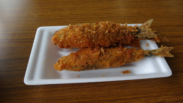DSC06147