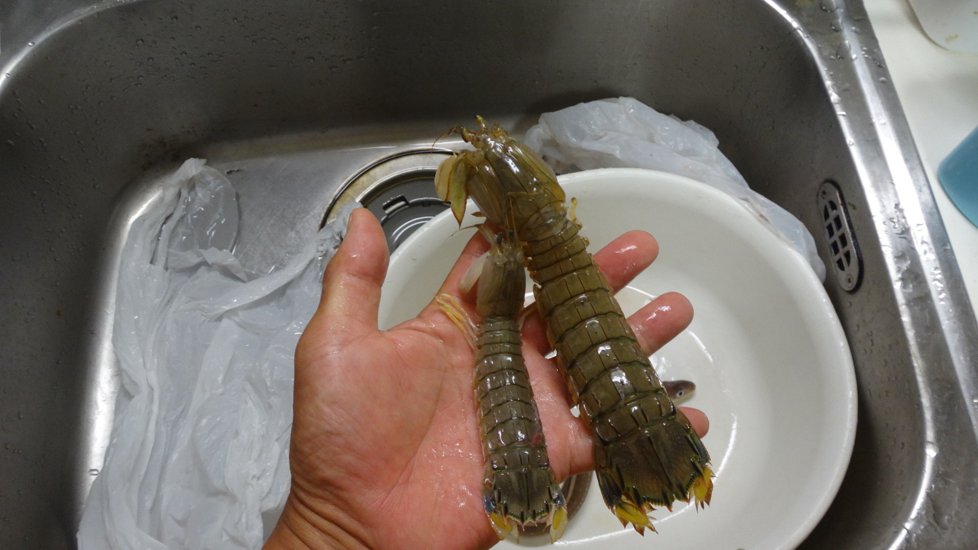 広島の穴子と外房の穴子を合わせてみた 失敗 いいたいほうだい