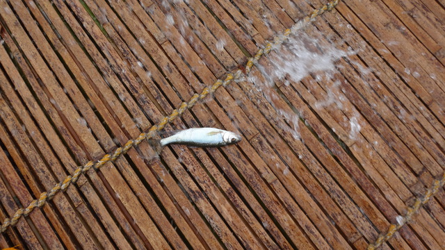 DSC06166