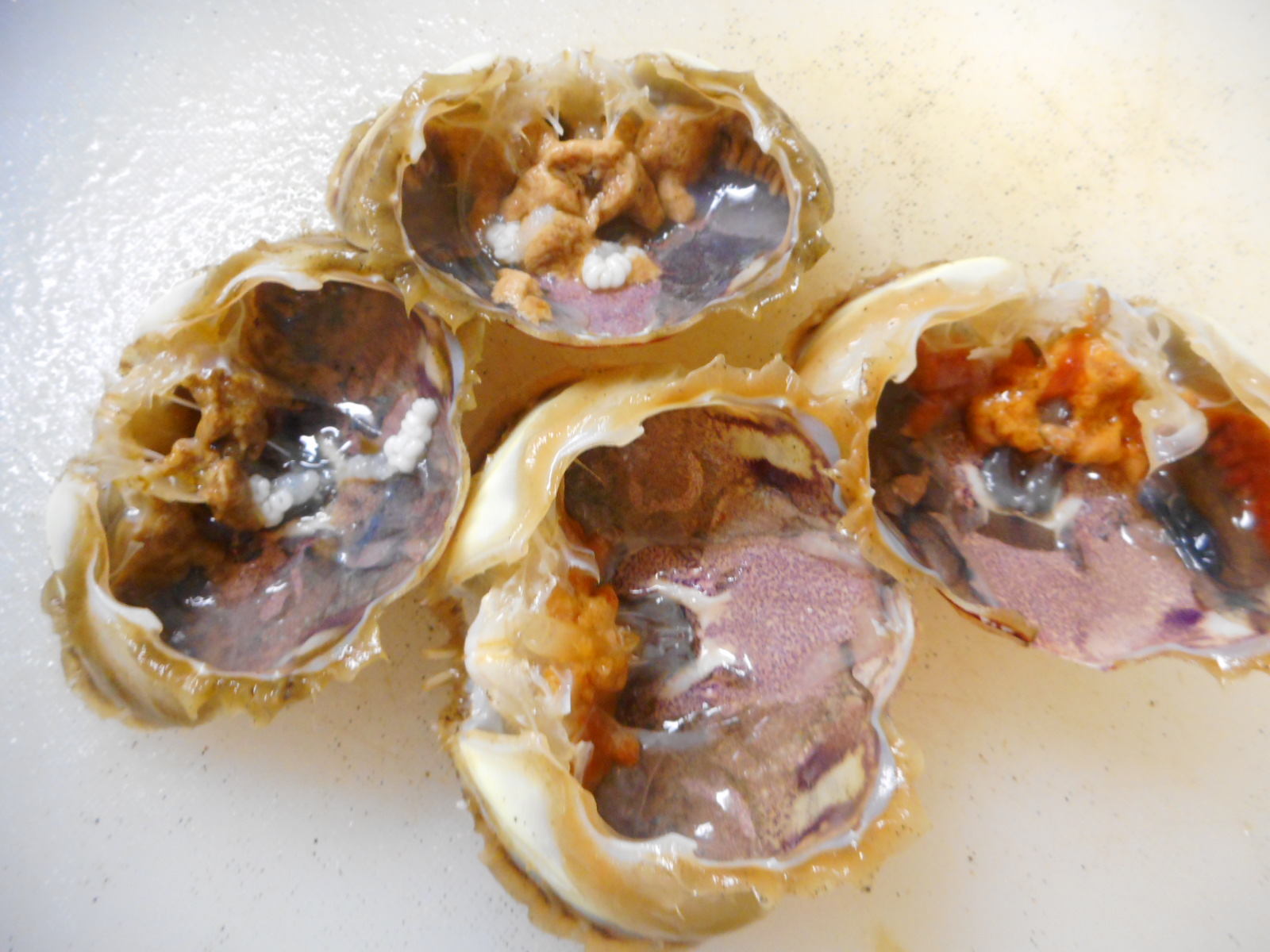 絶品 ヒラツメカニの甲羅酒 いいたいほうだい 絶品 ヒラツメカニの甲羅酒 いいたいほうだい