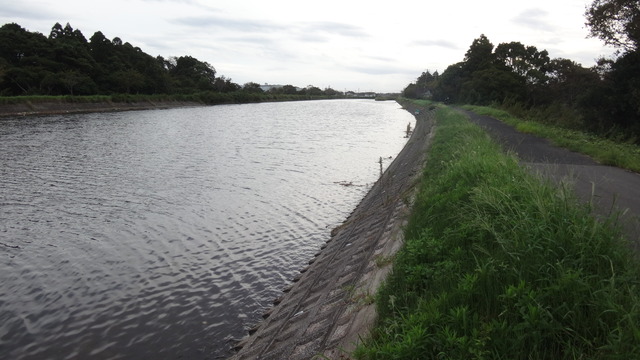 DSC00115