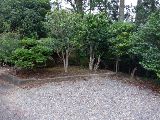 DSCF6030