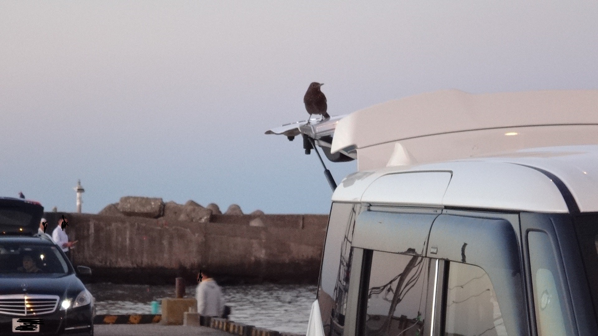 18年57回目の釣り 18 11 1 太東シャコ惨敗 いいたいほうだい