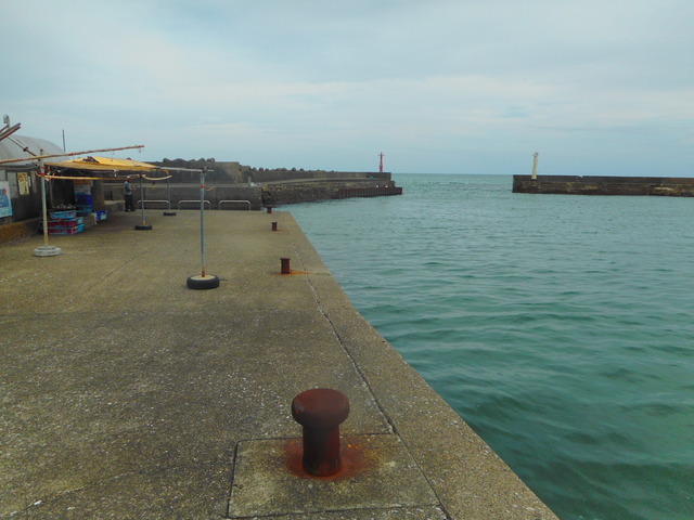 DSCN4257