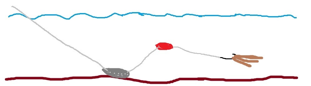 セイゴフッコの仕掛けを大公開 いいたいほうだい セイゴフッコの仕掛けを大公開 いいたいほうだい