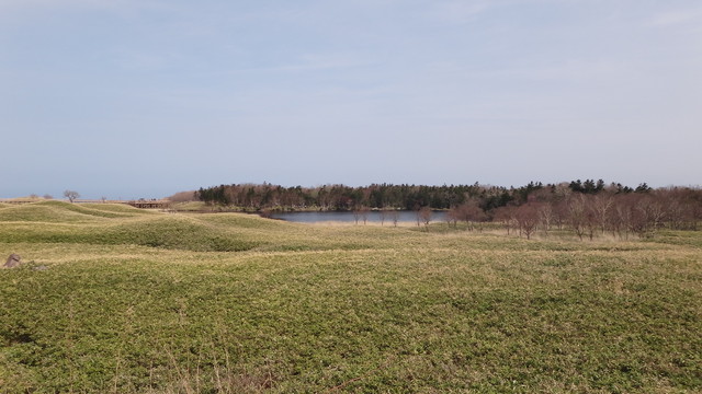 DSC08800