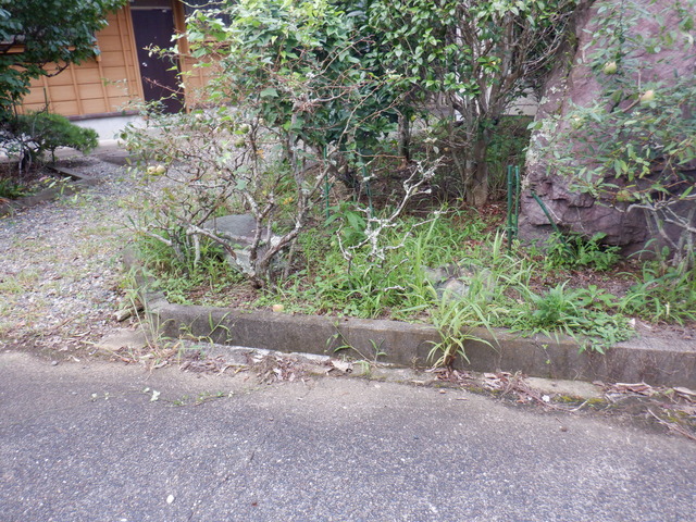 DSCF6969