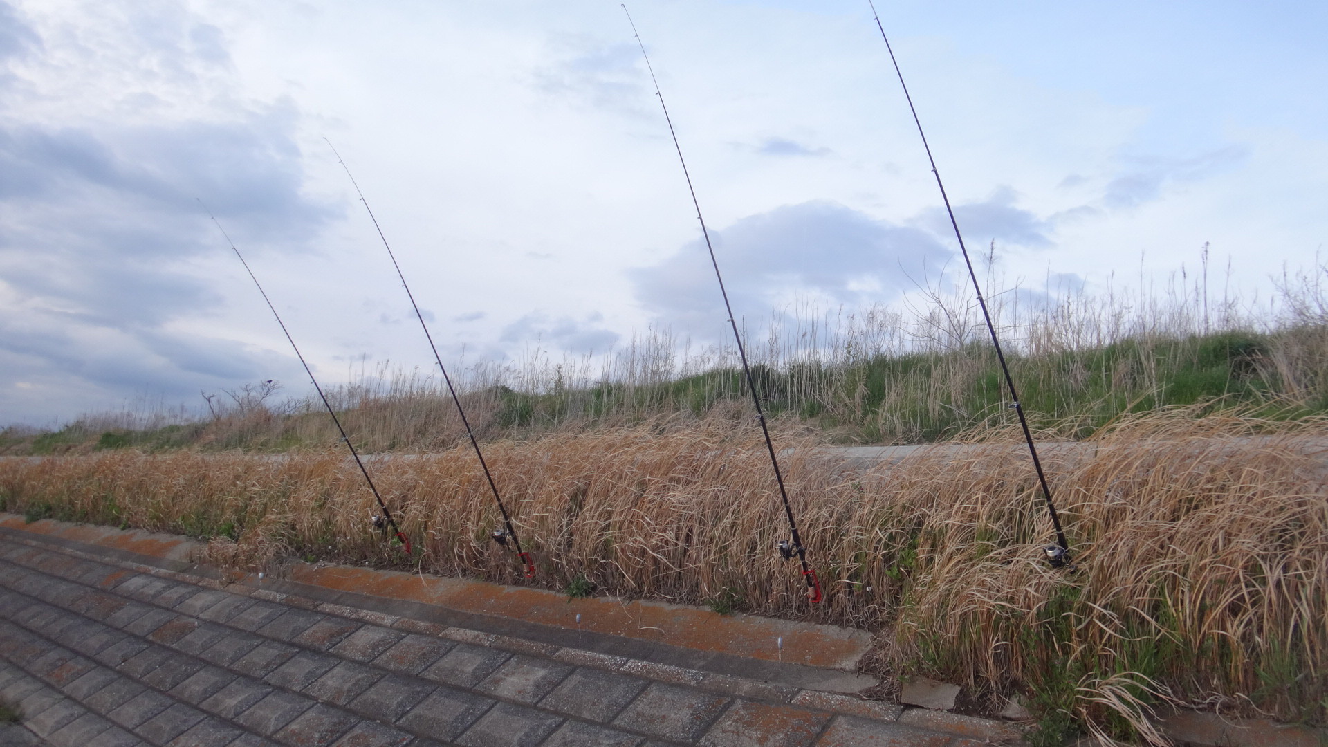 19年39回目の釣り 19 4 11 ウナギ2回目 魚あんまり釣れないね いいたいほうだい