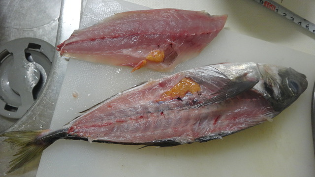 DSC02845