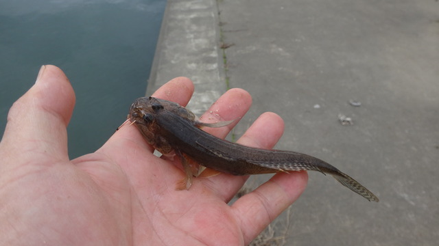 DSC04008