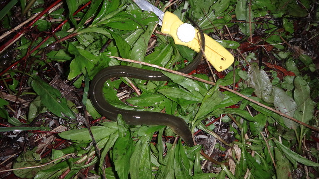 DSC04001