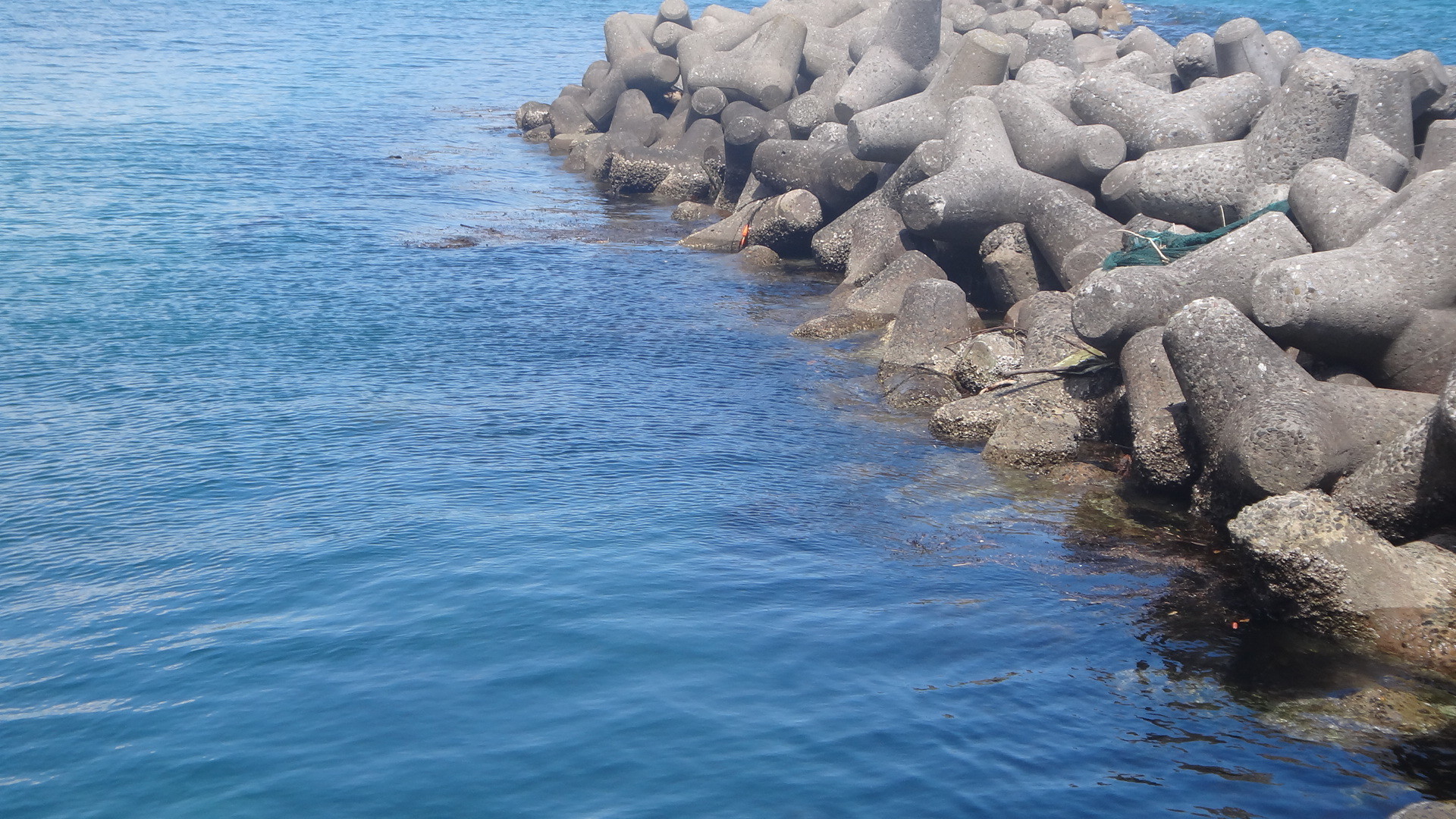 70以上 勝浦漁港 釣り コロナ 勝浦漁港 釣り コロナ Irasujoztbbl
