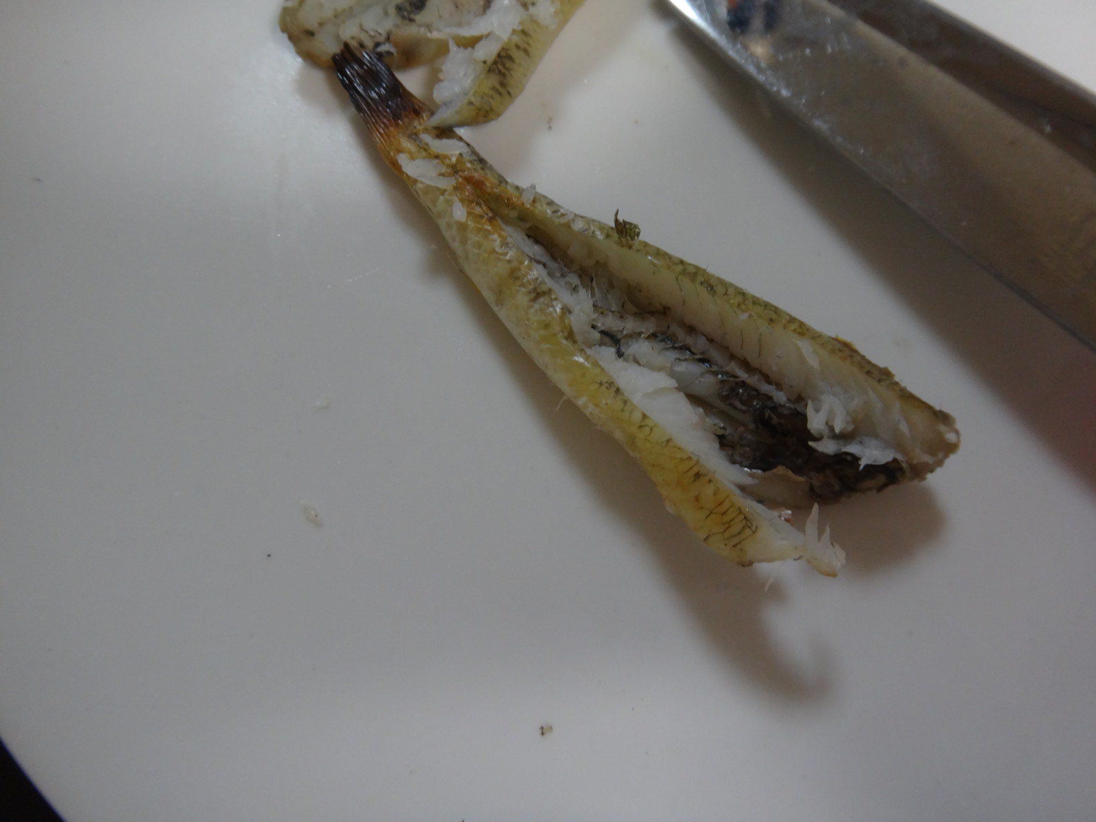 25 ハゼ 干物 ハゼ 干物 作り方