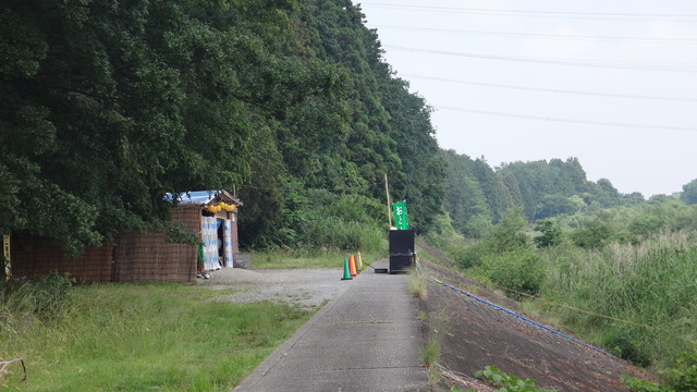 DSC09174
