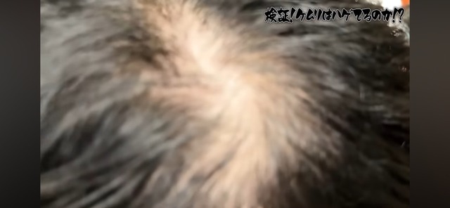 LINE_ALBUM_20250410_250410_1