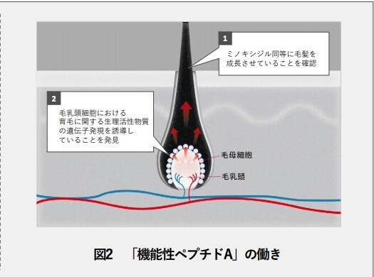 スクリーンショット 2021-04-21 14.32.41