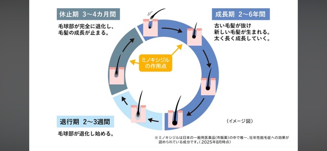 LINE_ALBUM_20250919_250919_5