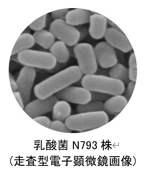 20230522-5-1