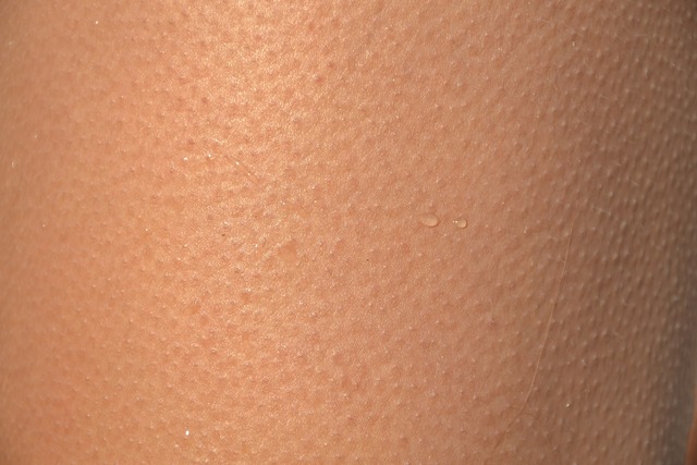 skin-418266_1920