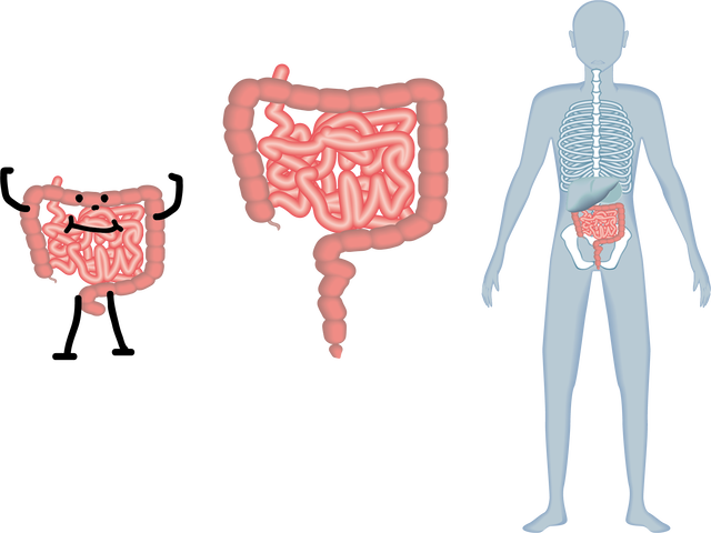カツラの中に金塊を隠して密輸 空港でインド人の男2人を逮捕 ハゲルヤ ハゲと向き合うウェブマガジン