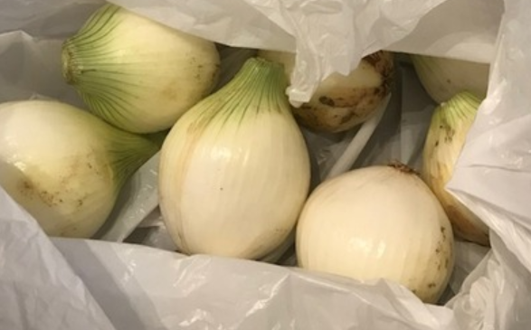 玉ねぎ