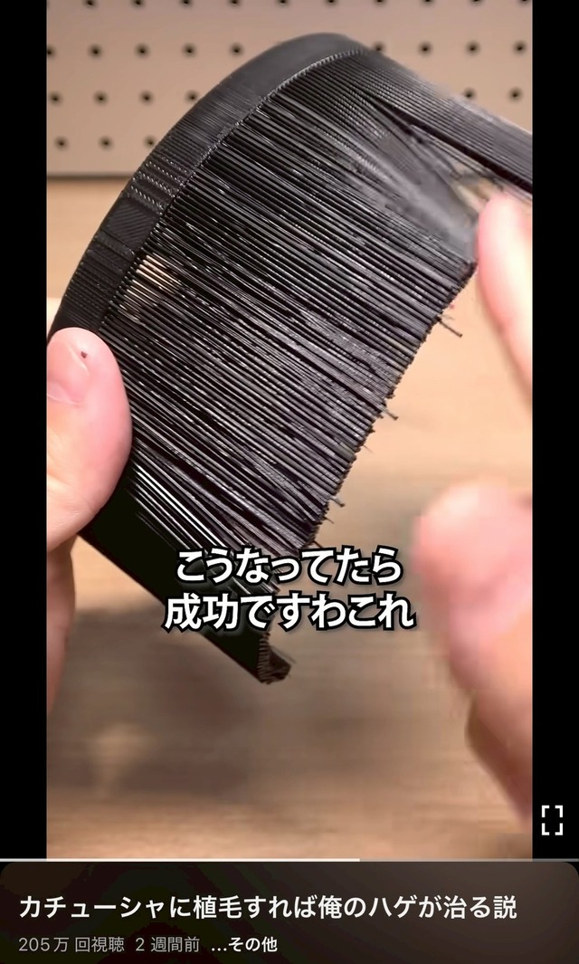 LINE_ALBUM_20250906_250906_7