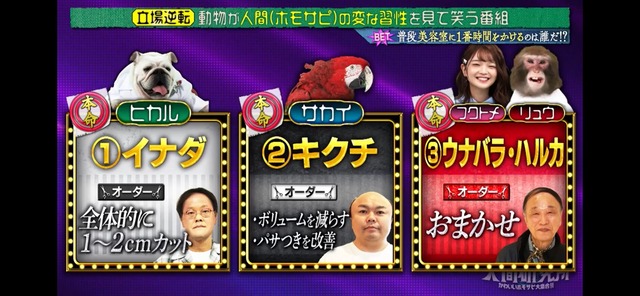 LINE_ALBUM_20250511_250511_11