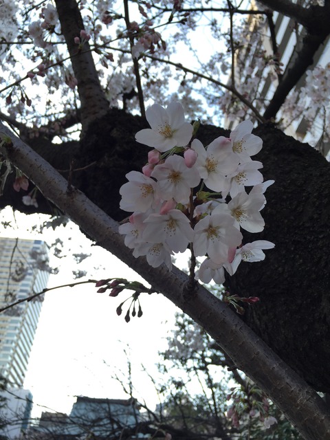 20150328_064130000_iOS