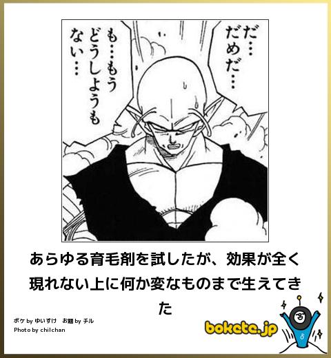 このboketeがやばいｗｗｗ ハゲが選んだ傑作まとめ ハゲルヤ ハゲと向き合うウェブマガジン