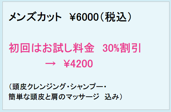 メニュー