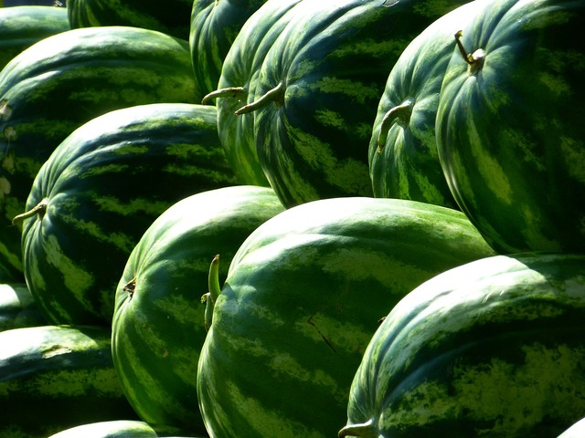 melons-g0fae68a84_1280