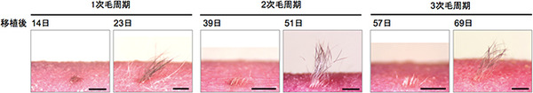 fig10