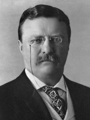 800px-25_Theodore_Roosevelt_3x4