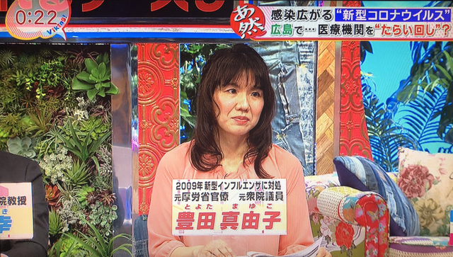 豊田真由子 TV出演