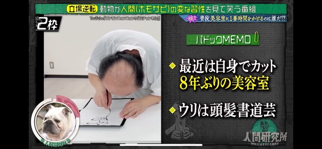 LINE_ALBUM_20250511_250511_13