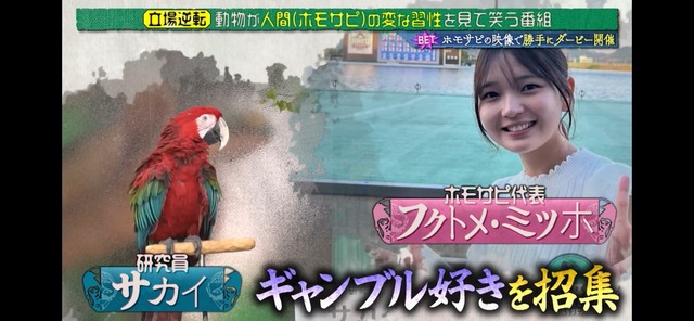 LINE_ALBUM_20250511_250511_17