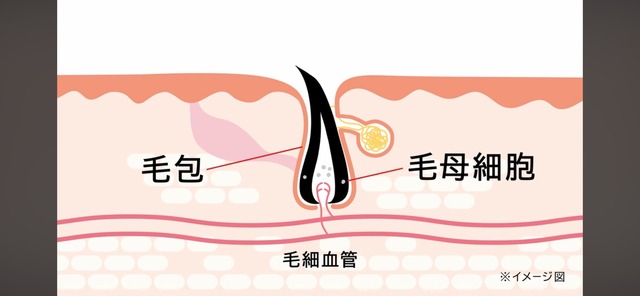 LINE_ALBUM_20250919_250919_9