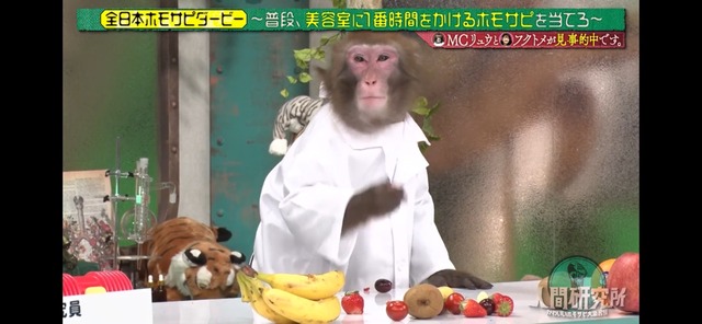 LINE_ALBUM_20250511_250511_1