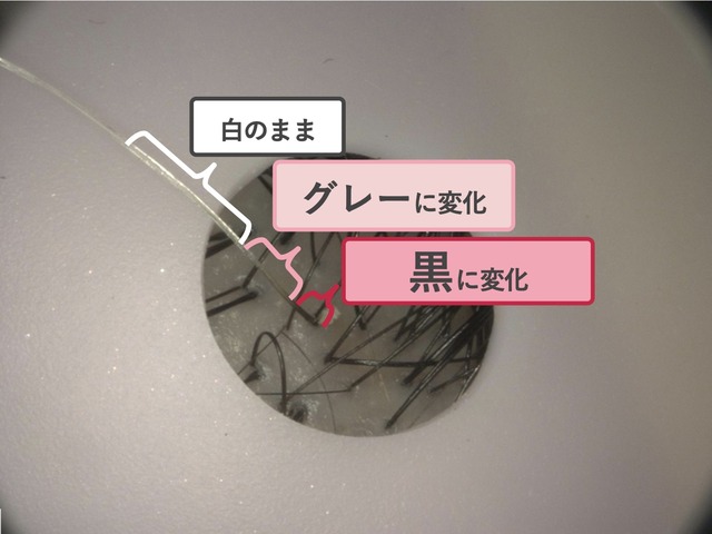 sub3